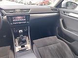 Škoda Superb (2019) 2.0 TDI, Kůže, Navi, Bi-Xenony - náhled 8