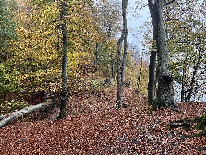 Komplex Prora lemuje překrásná a liduprázdná pláž.