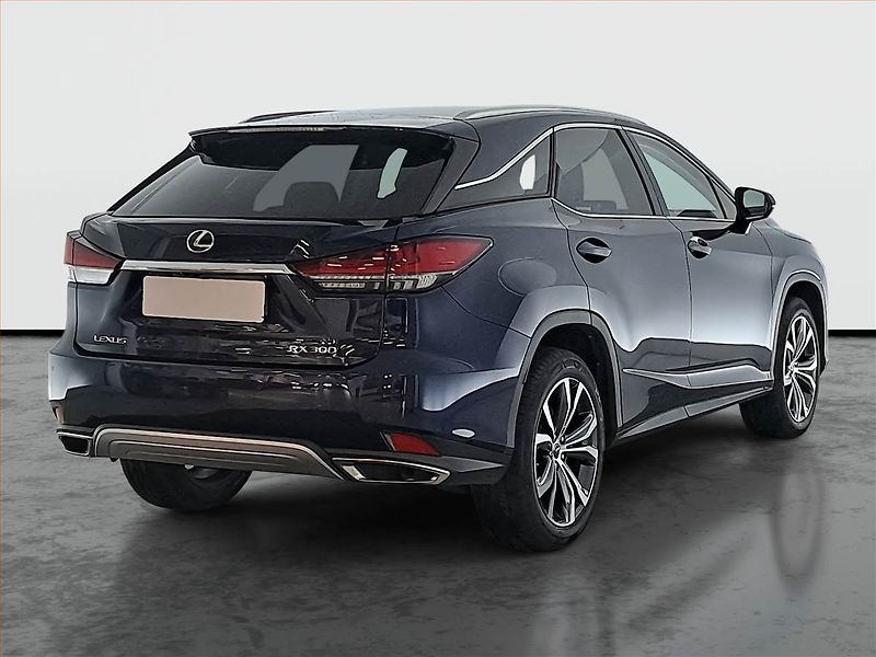 Lexus RX 400h (2023) 300 AWD - fotka 5 z 22