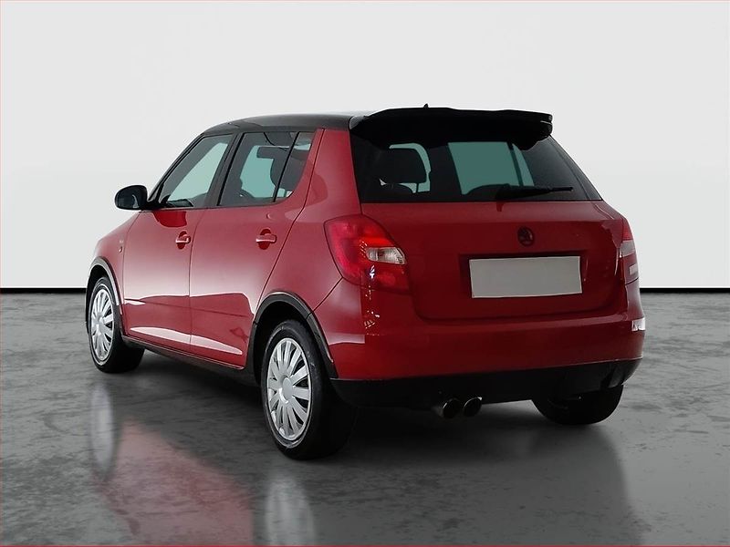 Škoda Fabia (2012) Monte Carlo 1.2 TSI, Tempomat - fotka 4 z 14