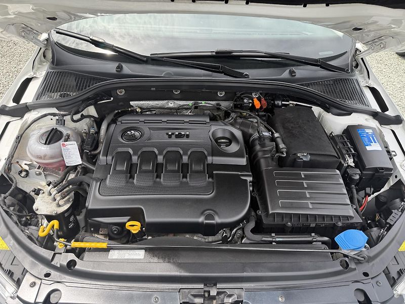 Škoda Octavia 2.0 TDI 4x4 - fotka 13 z 13