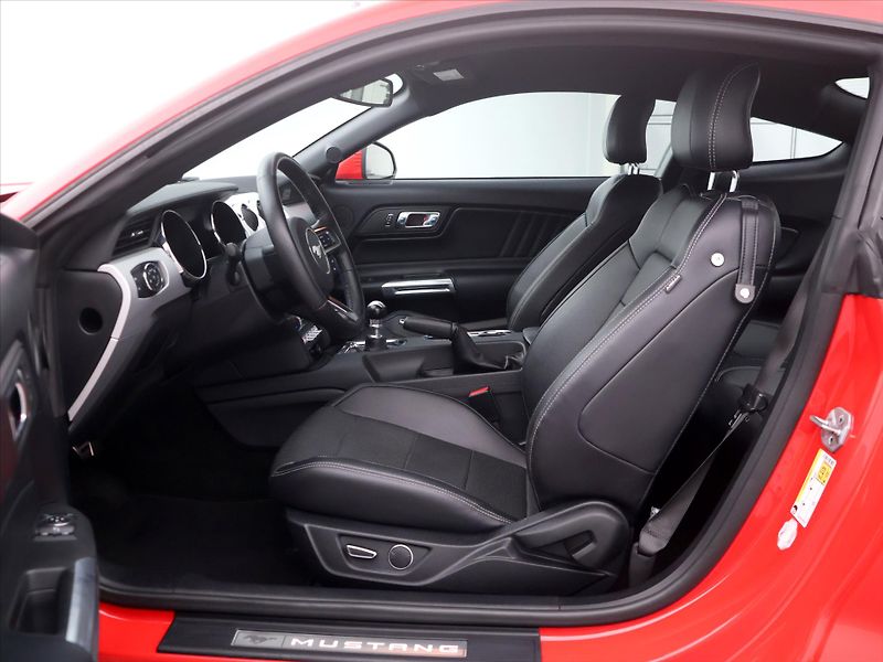 Ford Mustang 5,0 Ti-VCT V8 310kW - fotka 11 z 40