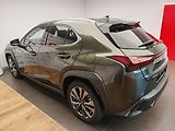 Lexus UX 300h F Sport Design 300H - náhled 9
