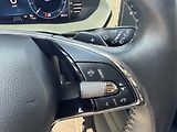 Škoda Octavia SCOUT 2.0 TDI DSG MATRIX - náhled 19