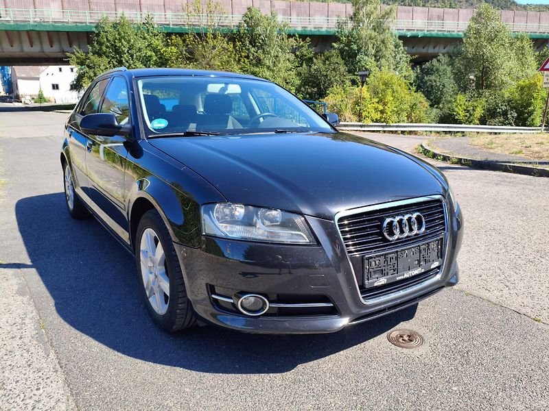 Audi A3 (2013) 1,2 TFSI 77Kw Ambition - fotka 3 z 30