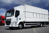 DAF LF 260 / EURO 6 / ACC / IZOTERMA  - náhled 30