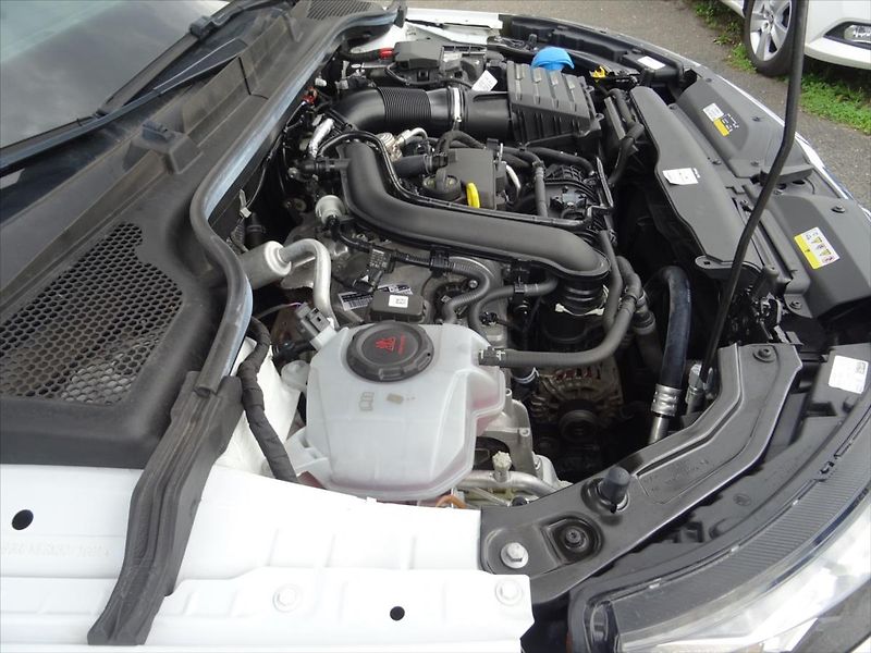 Škoda Kamiq 1,0 TSi 81 kW Business - fotka 34 z 37