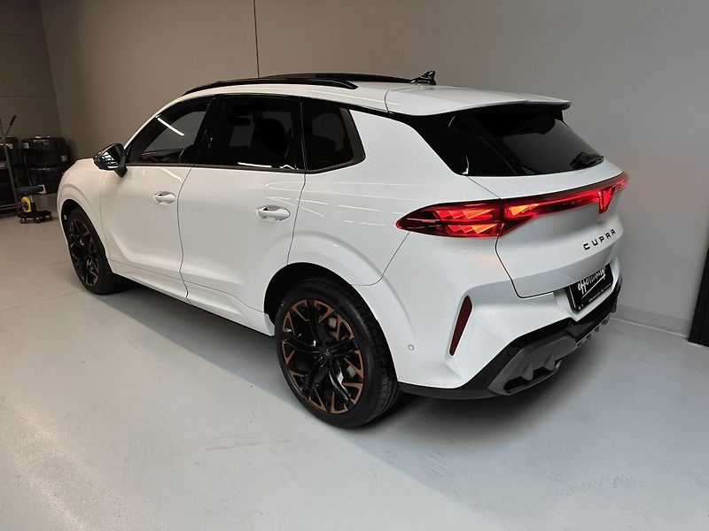 Cupra Terramar (2025) 2.0 TSI 265k 4WD DSG *HD MTRX* - fotka 4 z 25