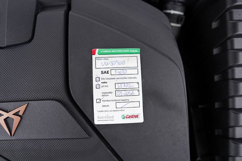 Cupra Formentor VZ5 2.5 TSI DSG 4Drive,Taiga G - fotka 11 z 50