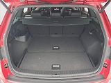Škoda Kodiaq (2023) RS 2.0 TSI - náhled 14