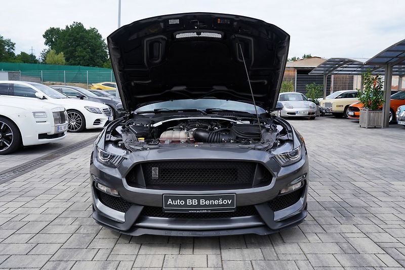 Ford Mustang (2018) Shelby GT350 5.2 Recaro,533 PS - fotka 9 z 40