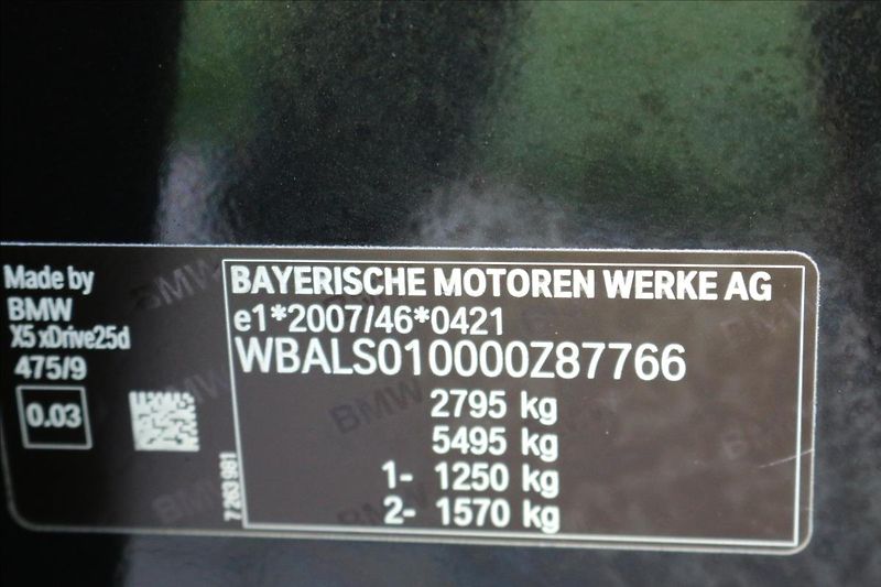 BMW X5 2,0 xDrive25d,ČR, 1. Majitel - fotka 59 z 59