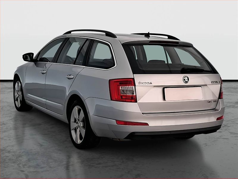Škoda Octavia (2013) Style 2.0 TDI 4x4, 4X4 - fotka 4 z 17