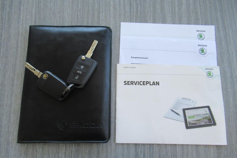 Škoda Rapid 1.4TDI AUT.KLIMA PANORAM TAŽNÉ - fotka 21 z 21