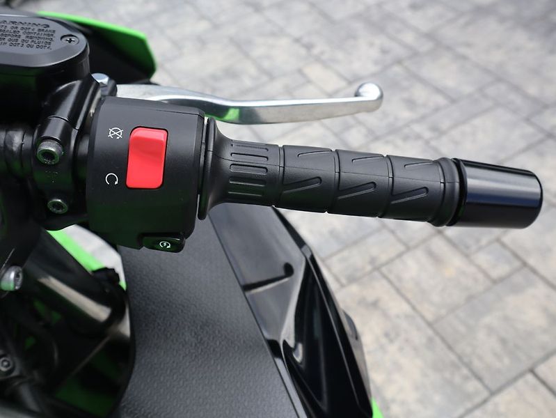Kawasaki (2025) - fotka 17 z 22