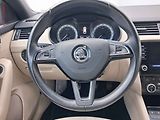 Škoda Octavia (2020) 2.0 TDi, ČR, Style, LED, navi - náhled 11