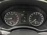 Škoda Octavia 2,0 103kW DPH 2X SADY KOL ČR - náhled 10