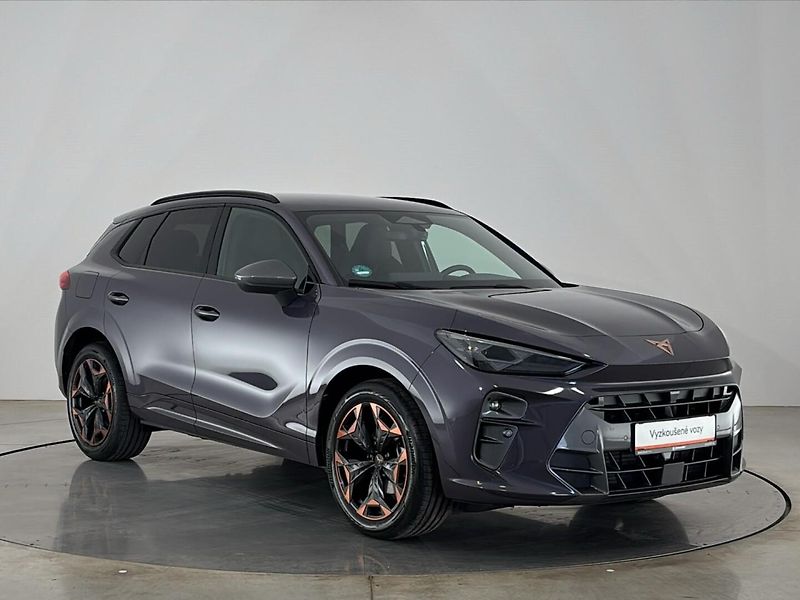 Cupra Terramar DSG - fotka 14 z 30
