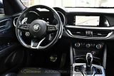 Alfa Romeo Stelvio 2.0T 16V 206kW VELOCE AT8 Q4 - náhled 19