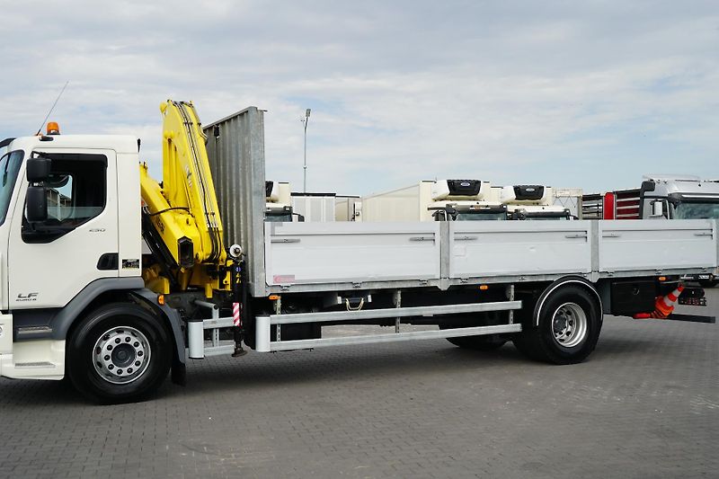 DAF LF (2015) / 250 / SKRZYNIOWY + HDS / HYV - fotka 36 z 52