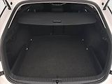 Škoda Octavia (2021) Ambition 2.0 TDI, Tempomat - náhled 14