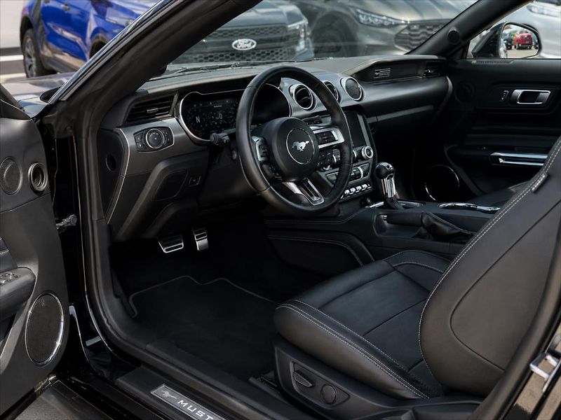 Ford Mustang 5,0 GT V8 330kW 55YearsEdition - fotka 15 z 36