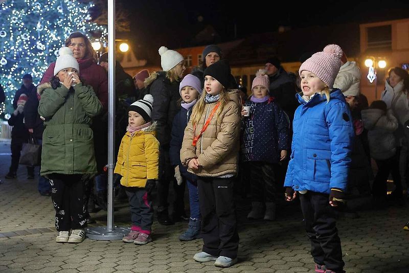 Auta svítící jako vánoční stromečky projela jižním Plzeňskem pro dobrou věc.