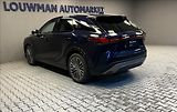 Lexus RX 450h plus 450H+ 2,5 PHEV LUXURY PANORAMI - náhled 13