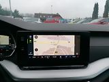 Škoda Octavia (2020) 2.0 TDi  LED,KAMERA,ACC - náhled 13