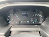 Ford Transit (2019) 2.0TDCi 310 L2, NAJ.150TIS.KM! - náhled 29