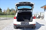 Volkswagen Tiguan 2,0 TDI 81KW ALU NÍZKÝ NÁJEZD - náhled 13