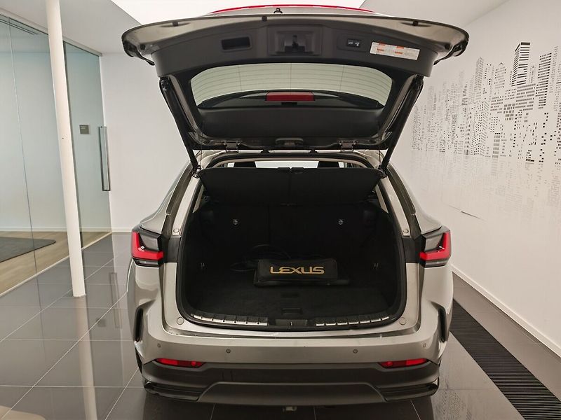Lexus NX 450h plus 450h+,Executive,4x4, - fotka 11 z 44