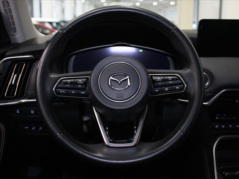 Mazda CX-60 3,3 D254 AWD Homura Záruka ČR - fotka 9 z 36