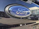 Ford Ranger 3,0 EcoBlue 177 kW V6 Wildtrak - náhled 15