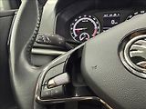 Škoda Karoq 2,0 TDi, DSG,NAVI,TZ,LED - náhled 18