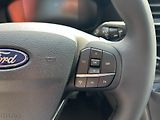Ford Transit 2.0 EcoBlue 121kW Trend 350 L4 - náhled 14