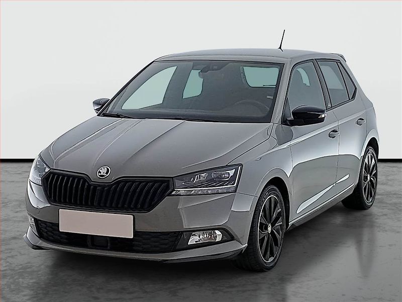 Škoda Fabia (2021) Monte Carlo 1.0 TSI, Kůže - fotka 2 z 17