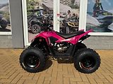 Linhai (2026) ATV 110 - náhled 1