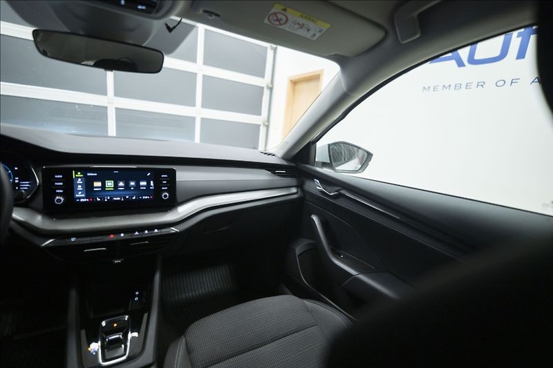 Škoda Octavia 2,0 TDI DSG VÝHŘEV 1. MAJ ČR - fotka 13 z 38