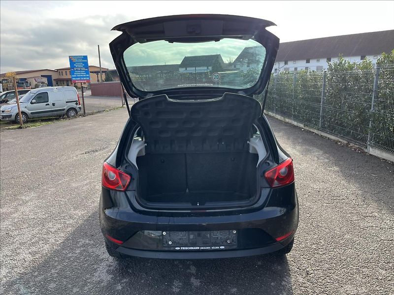 Seat Ibiza 1.2 TSi 63KW KLIMA SERVIS STK - fotka 31 z 34