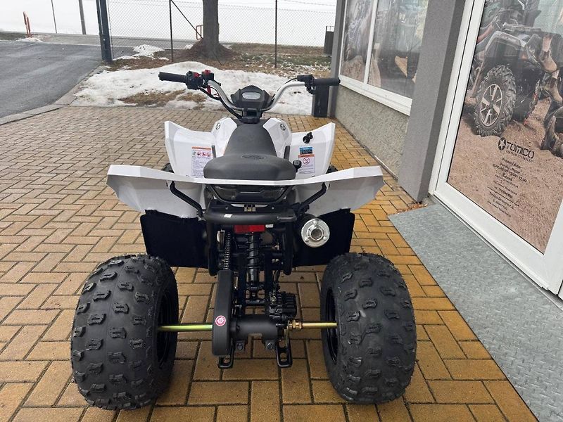 Linhai (2026) ATV 110 - fotka 4 z 6