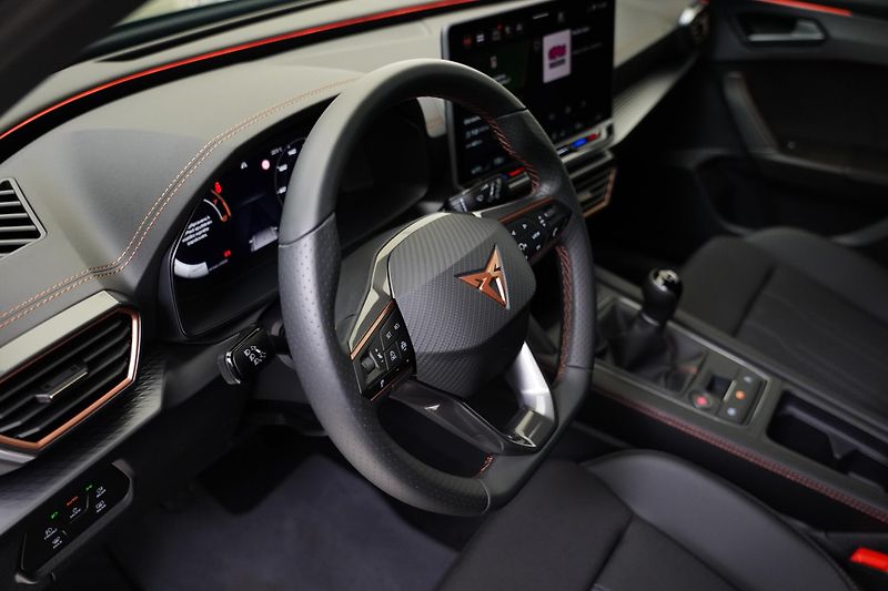 Cupra Formentor - fotka 14 z 26