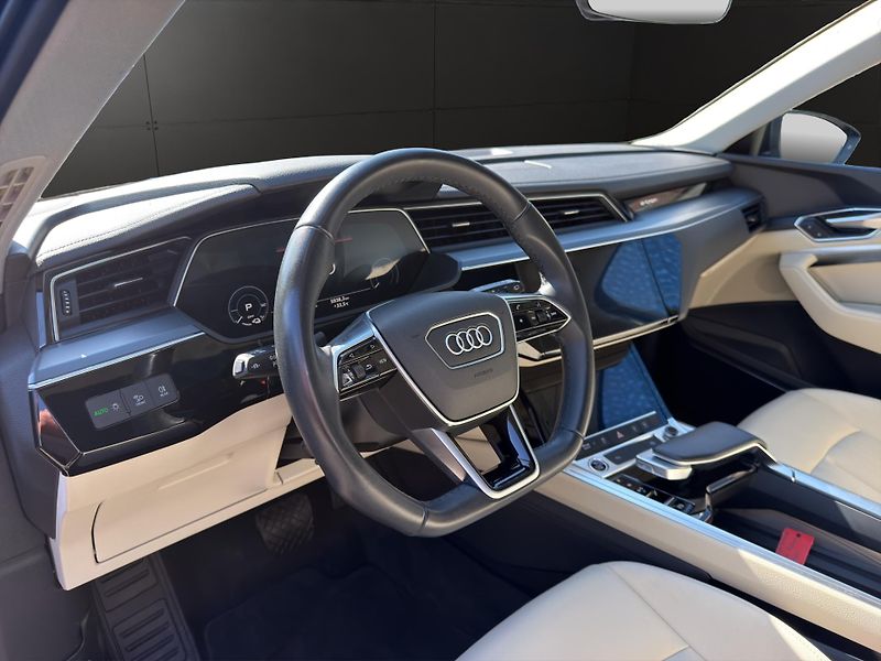 Audi e-tron (2023) 55 300KW 21 ALU PANORAMA - fotka 10 z 27