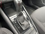 Škoda Scala (2020) 1.6 TDi, Ambition, DSG - náhled 14