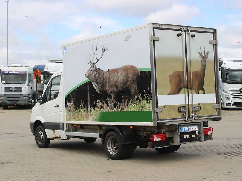Mercedes-Benz SPRINTER 411 CDI, THERMO KING, - fotka 4 z 16