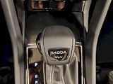 Škoda Karoq (2025) 2.0 TSI 140 kW DSG 4x4 Sportli - náhled 19