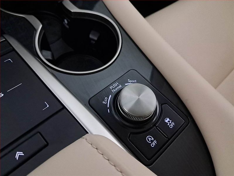 Lexus RX 400h (2023) 300 AWD - fotka 19 z 22