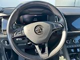 Škoda Kodiaq (2020) L K 4X4 TD 140/2.0 A7F - náhled 22