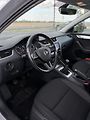 Škoda Octavia (2019) 1. Majitel, Dovoz - náhled 10