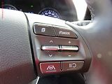 Hyundai i30 (2023) 1.5 DPi, 1.maj,ČR, Navi, AC - náhled 15